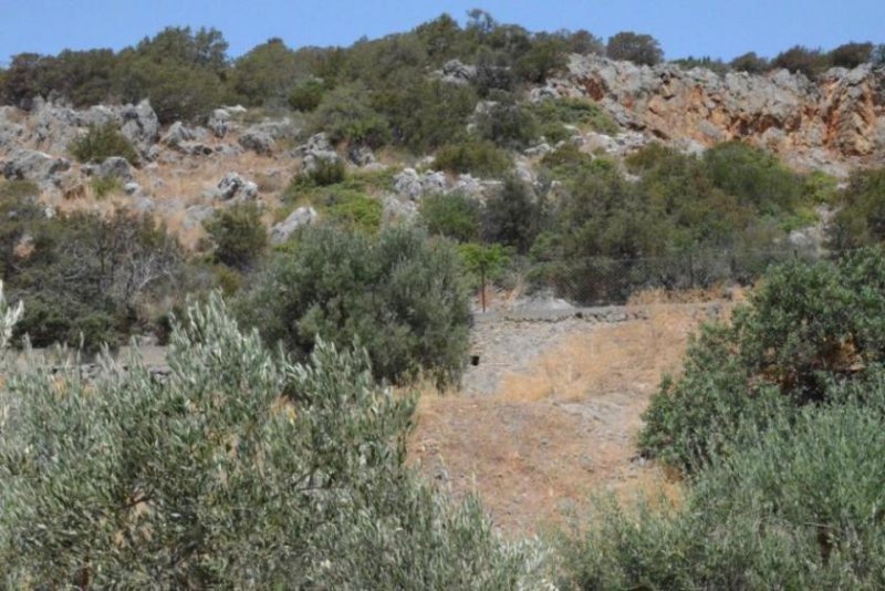 Kalo Chorio bei Agios Nikolaos Kreta, Kalo Chorio: Baugrundstück in der Nähe von Stränden zu verkaufen Grundstück kaufen